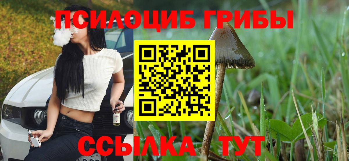 Псилоцибиновые грибы мухоморы  Вход с VPN  Тавда  Галлюциногенные грибы мухоморы 
